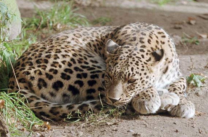 Tansa Wildlife Sanctuary, Thane, Maharashtra - Vushii.com